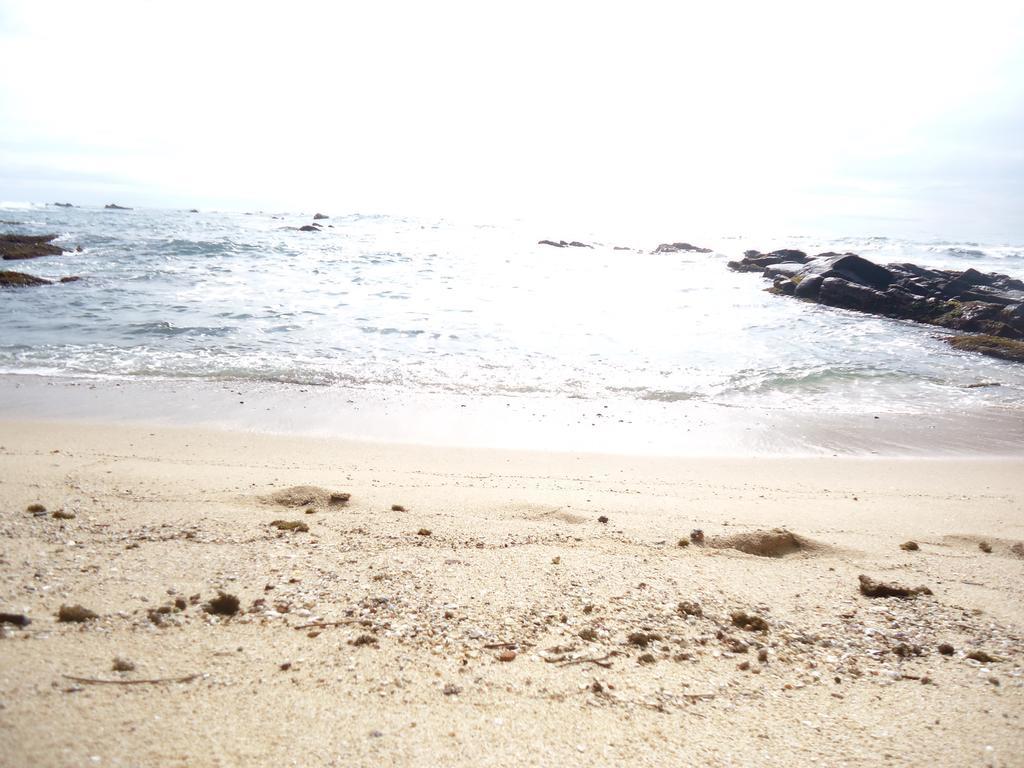 Masha Beach Inn Tangalle Exterior photo