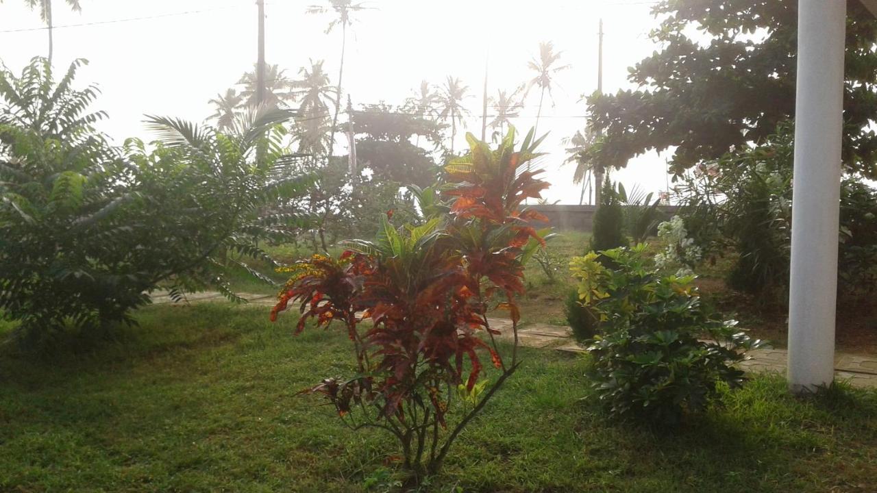 Masha Beach Inn Tangalle Exterior photo